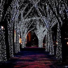 Pin By Karen Pratt On Holidays Christmas Solar Powered Fairy Lights Solar Fairy Lights Christmas Lights