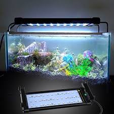 Pin By Cruiserbikeusa On General Fish Tank Lights Led Aquarium Lighting Fish Tank