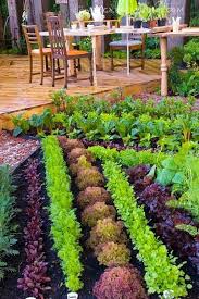 Best 4 4 Grow Tent Yield Here S The Guide To Earn 2 5 Lbs In 2020 Small Vegetable Gardens Vegetable Garden Design Vegetable Garden Planning