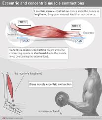Pin On Pilates