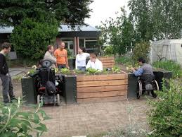 Terraform Wheelchair Accessible Garden Kituniversal Design Style Sensory Garden Garden Kits Raised Garden