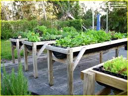 Wheelchair Accessible Raised Garden Beds Landscaping Ideas Landscape Image Gallery Zdepz Cheap Raised Garden Beds Vegetable Garden Raised Beds Garden Beds