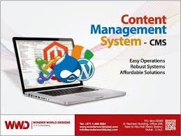 Wonder World Designs Recommends Cms For Businesses That Need Domain Registration Domain Regis Content Management System Internet Providers Domain Hosting