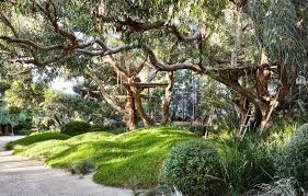 Sunnymeade Garden Open This Weekend Australian Garden Coastal Gardens Australian Native Garden