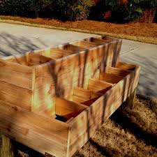 Pin Oleh Scotti Oxford Di Garden Goods Kebun