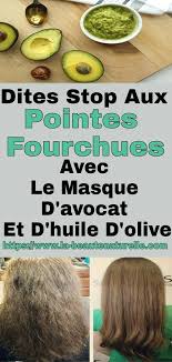 Masque A L Avocat Et Et A L Huile D Olive Contre Les Pointes Fourchues Masque Pointes Fourchues Health Health Fitness Avoca