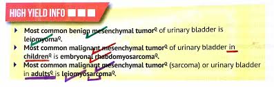 Most Common Mesenchymal Tumors Of Urinary Bladder Leiomyoma Leiomyosarcoma Embryonal Rhabdomyosarcoma Bladder Leiomyosarcoma Most Common