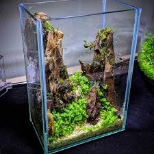 45 Nano Planted Tank Design Inspirations To Displayed At The Office Rooms And Living Room That Will Eliminate Your High Stress45 Nano Planted Tank Design Insp Garden Terrarium Aquascape Aquarium Backgrounds