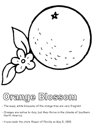 Orange Blossom Coloring Page State Symbols Preschool Colors Coloring Pages