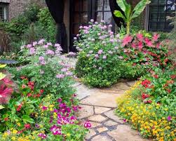 Texas Native Plants Design Ideas Pictures Remodel And Decor Texas Landscaping Texas Native Plants Landscaping Atlanta