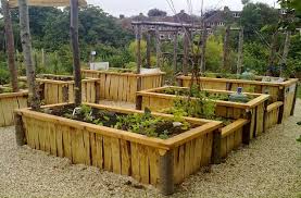 Accessible Community Garden Beds Community Garden Design First Season Community Gardening Garden Design Garden Beds