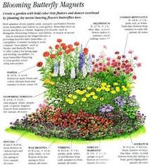 Ideas For A Blooming Butterfly Garden Flower Garden Plans Butterfly Garden Design Butterfly Garden