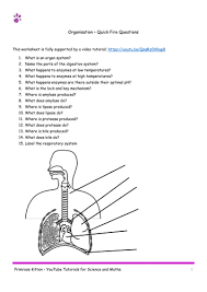 Organisation Aqa B1 Topic 2 Quick Fire Questions 9 1 Gcse Biology Or Combined Science Revision Science Revision This Or That Questions Biology