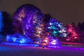 Morton Arboretum S Light Show Dazzles Morton Arboretum Tree Lighting White Christmas Lights