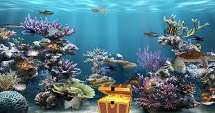 Paling Bagus 29 Wallpaper Bergerak Windows 7 Ultimate 50 Aquarium Desktop Wallpapers Windows 8 On Wallpapersafari 20 Tema Te Kertas Dinding Beautiful Galeri