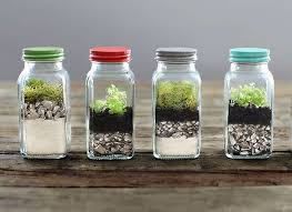 12 Tiny Gardens You Can Grow On A Tabletop Diy Succulent Terrarium Terrarium Diy How To Make Terrariums