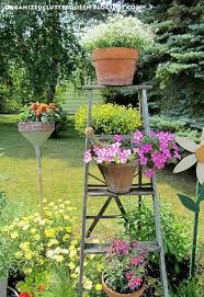 Metamorphosis Of Four Container Plantings From Early June To Early July Photo Added Of Entire Step Ladder In 2020 Container Plants Plants Garden Containers