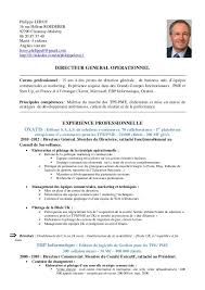 Cv En Francais 01 10 12 Cv Francais Exemple Cv Francais Cv Cadre