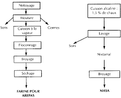 Production Et Valorisation Du Mais A L Echelon Villageois En Afrique De L Ouest Synthese Preparatoire Synthese Preparatoire La Valorisation Du Mais A L Echelon Villageois