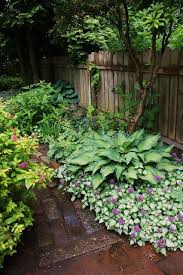 Shade Plants Lamium Hosta Lamium Is An Amazing Ground Cover That Can Fill A Bed In One Or Two Seasons Shade Garden Design Shade Garden Plants Shade Plants