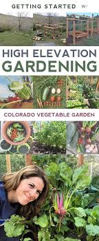 Gardening In Colorado Best Plants Vegetables That Grow Well Organic Vegetable Garden Home Vegetable Garden Growing Vegetables