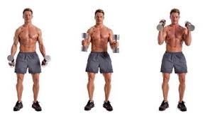 Hammer Curls Week 1 Sets 4 Reps 12 10 8 25 Egzersiz Calisma Kol Kaslari