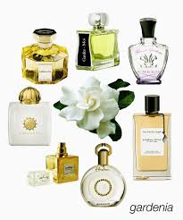 Top 10 Best Reviewed Womens Fragrances Gardenia Perfume Perfume Scents Fragrance