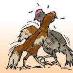 30 Gambar Kartun Ayam Petarung Cerita Misteri Biar Curang Asal Menang Harian Merapi Download Sribu Desain Logo Logo Desain Unt Gambar Kartun Kartun Gambar