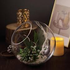 9 Tall Slanted Glass Terrarium Vase Clear Clear Glass Vases Glass Terrarium Terrarium