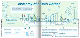 Rain Gardens For Schools 12 000 Rain Gardens