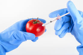 Webpages load quickly on slow connections, you are protected from viruses and scammers, and search is faster. Khatarta Caafimaad Ee Cunnooyinka Cunnooyinka Gmos El Paso Tx