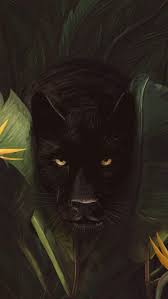 Animal Wallpapers Iphone Wallpapers Best Usa Pins Animal Wallpaper Panther Pictures Panther Art