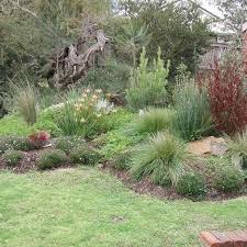 8 Garden Themes To Consider For Your Home Front Yard Garden Design Australian Native Garden Native Garden