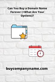 Can You Buy A Domain Name Forever What Are Your Options In 2020 Names Domain Forever