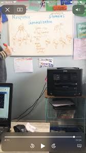 Stimulus Generalization Vs Response Generalization Generalizations Bcba No Response