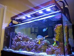 My Diy Hood For T5 Radion Led Lighting Marine Depot Blog Led Lights Fish Tank Lights Led Diy