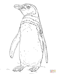 Dibujo Pinguino Para Colorear