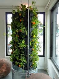 Best 20 Vegetable Garden Design Ideas For Green Living Morflora Vertical Garden Indoor Vegetable Garden Design Vertical Vegetable Garden