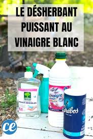 Puissant Et Facile A Faire Le Desherbant Maison Au Vinaigre Blanc Desherbant Maison Desherbant Naturel Desherbant Ecologique
