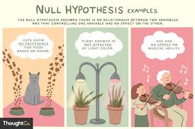What Is The Null Hypothesis Hypothesis Examples Null Hypothesis Hypothesis