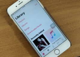 Ios 13 How To View Only Downloaded Music On Iphone And Ipad Howtoisolve In 2020 Iphone Music Offline Music Music App