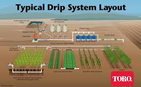 Typical Drip Irrigation System Layout Driptips Garden Irrigation System Drip Irrigation System Design Drip Irrigation