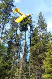 Pin By Icraft2 On Suchoj Co Pilot Crash Tree