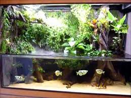 300g Paludarium Diy Tank With Open Upper Portion I Think I Might Have Just Discovered The Coolest Thing Ever Aquaponics Vivarium Aquascape Aquarium