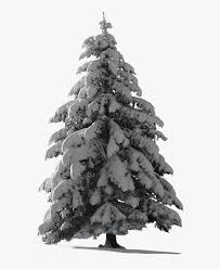 Christmas tree christmas ornament spruce fir pine, christmas tree transparent background png clipart. Christmas Png Picsart Pine Tree Snow Png Transparent Png Transparent Png Image Pngitem