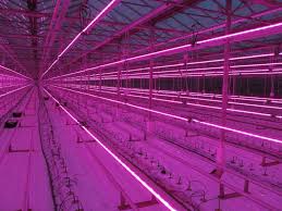 Greenhouse Led Grow Lights Led Grow Lights Grow Lights Led Grow