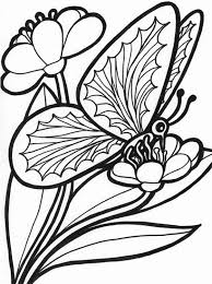 Butterfly Free Coloring Pages Luxury Kids Page Butterfly Coloring Pages In 2020 Butterfly Coloring Page Printable Flower Coloring Pages Free Coloring Pictures