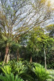 Jardim Uca