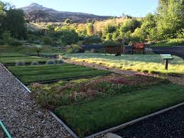 Early Morning At The Firewise Garden Burnt Hillsides From The Table Rock Fire Behind The Garden Are A Reminder Of The Importance Landscape Garden Table Rock