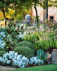 Magnificent Adelaide Garden Grown From Recycled Materials Australian Garden Design Urban Garden Backyard Landscaping